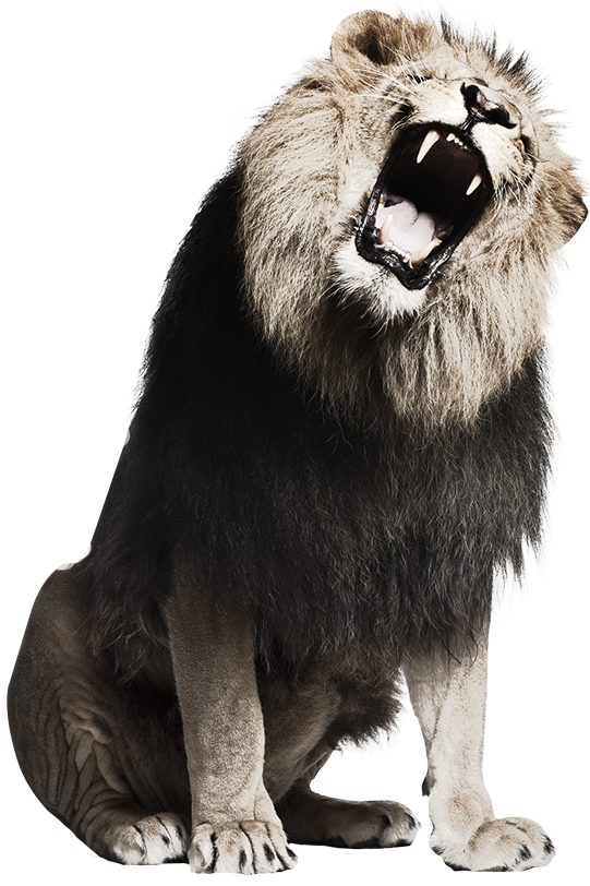 Lion Spieler
